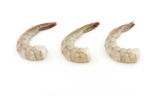 Crevette scampi décortiquée 16/20 congelé