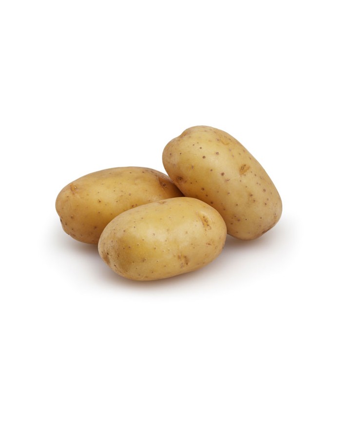 Pomme de terre agria lavée GT